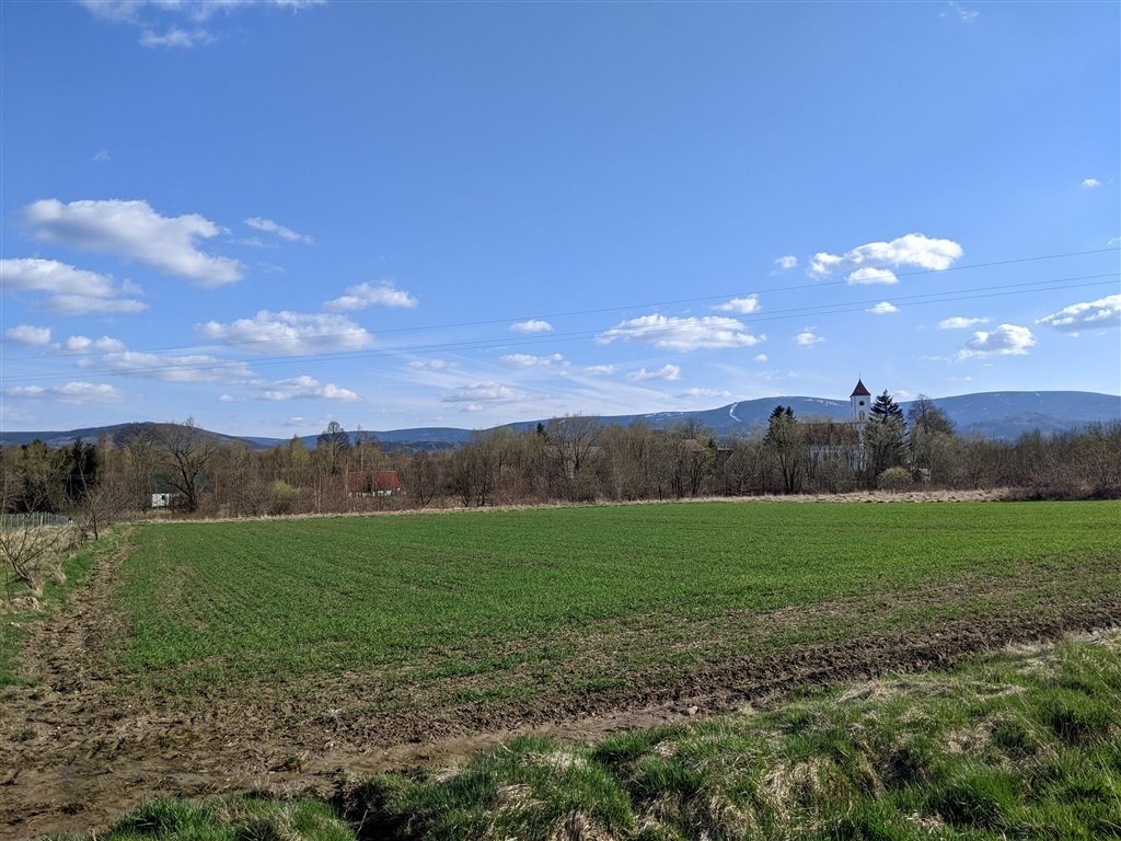 Działka budowlana na sprzedaż Wolimierz  3 000m2 Foto 1