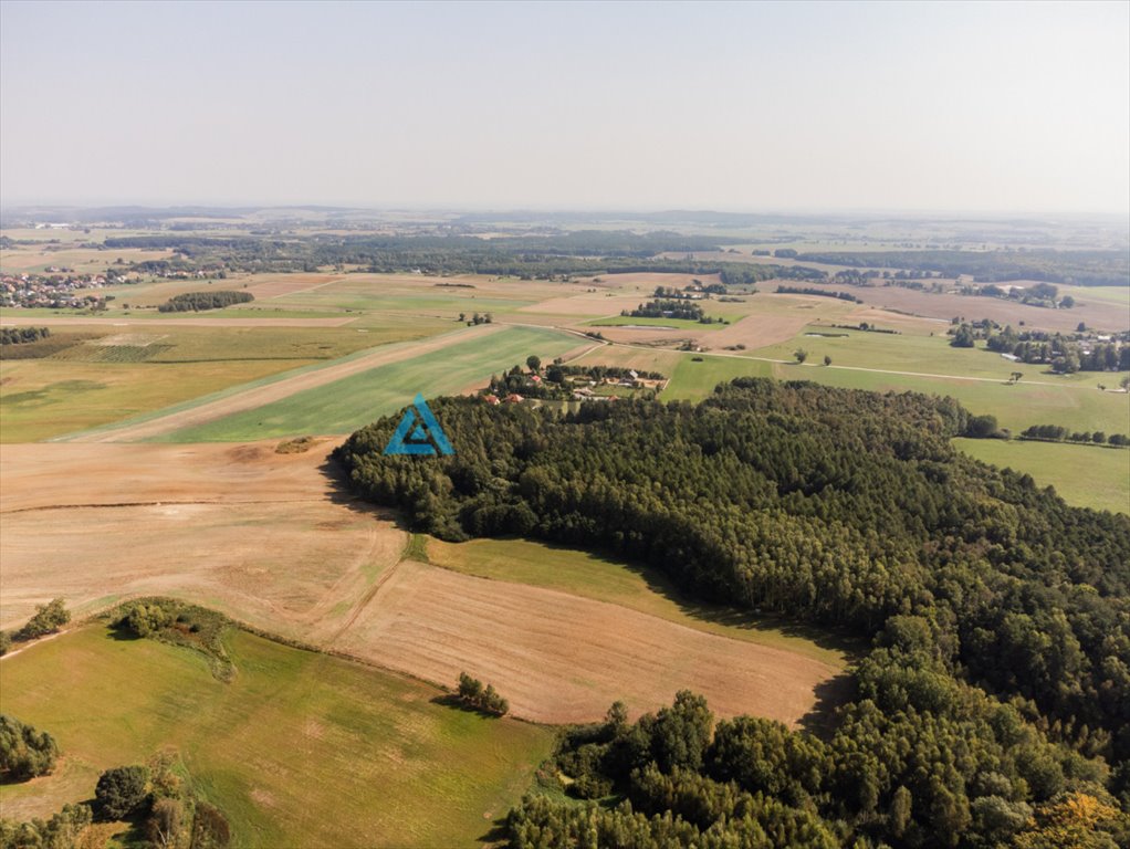 Działka rolna na sprzedaż Ełganowo, Macierzy Szkolnej  6 500m2 Foto 5