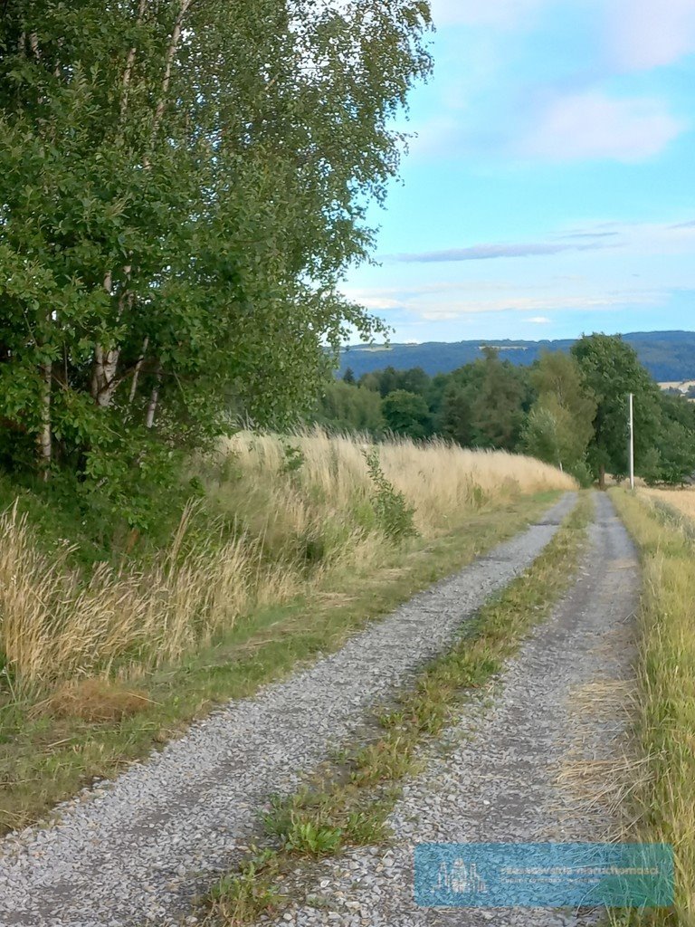 Działka budowlana na sprzedaż Brzeziny  1 250m2 Foto 4