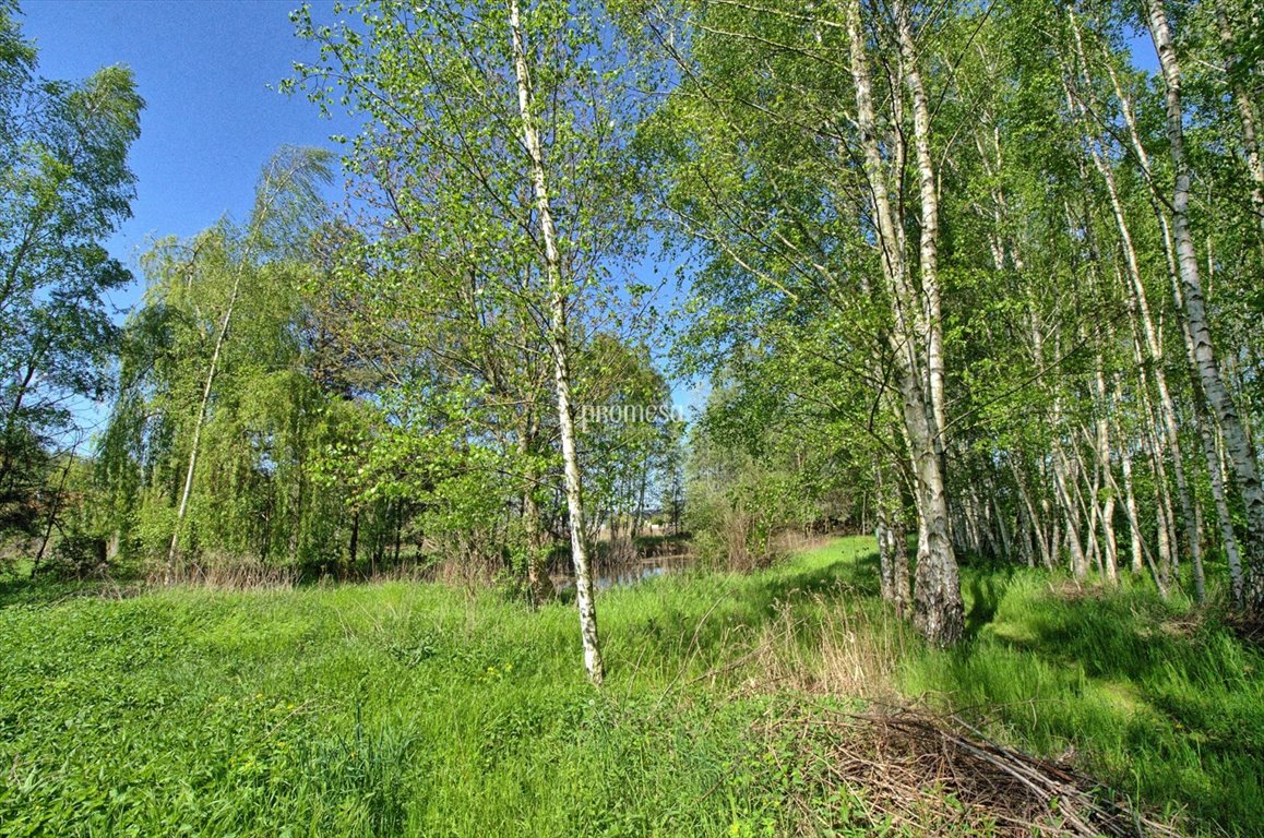 Działka inna na sprzedaż Śliwice, Aleja Dębowa  250m2 Foto 5