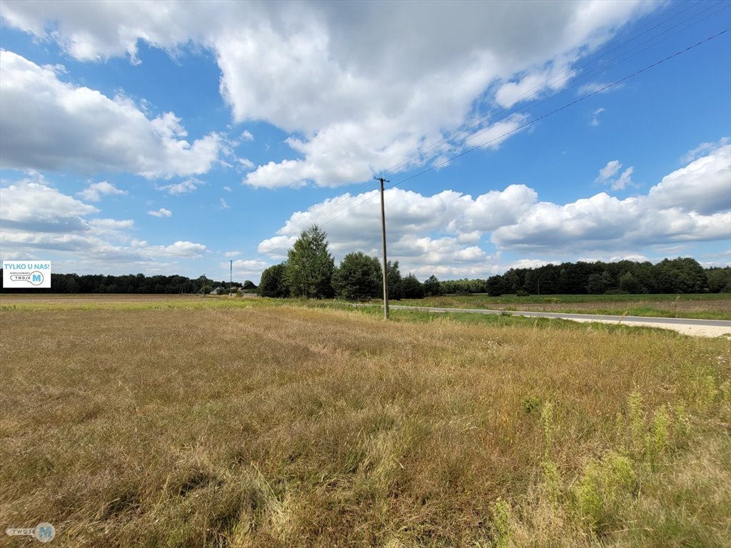 Działka 8 000 m² z warunkami zabudowy i dostępem do mediów Kluczewsko, Stanowiska  8 000m2 Foto 1