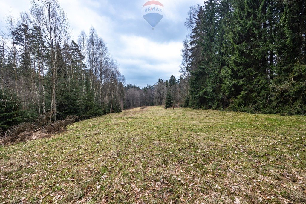 Działka rolna na sprzedaż Polanica-Zdrój, Wiejska  10 300m2 Foto 12