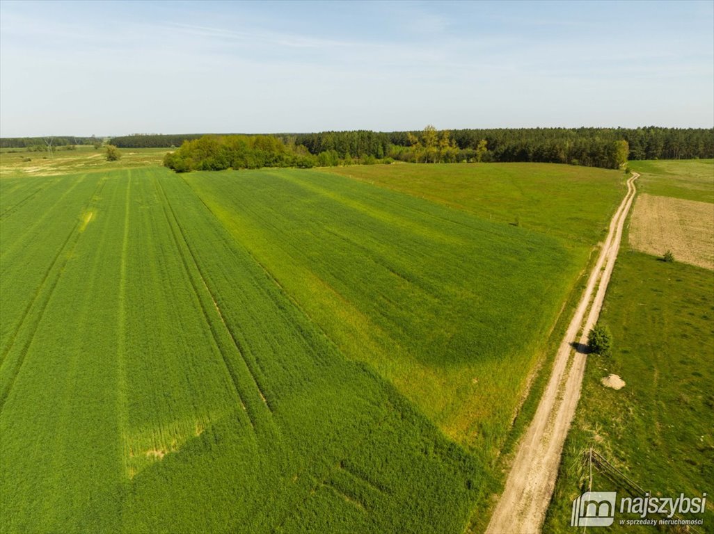 Działka rolna pod dzierżawę Przybiernów  15 202m2 Foto 7