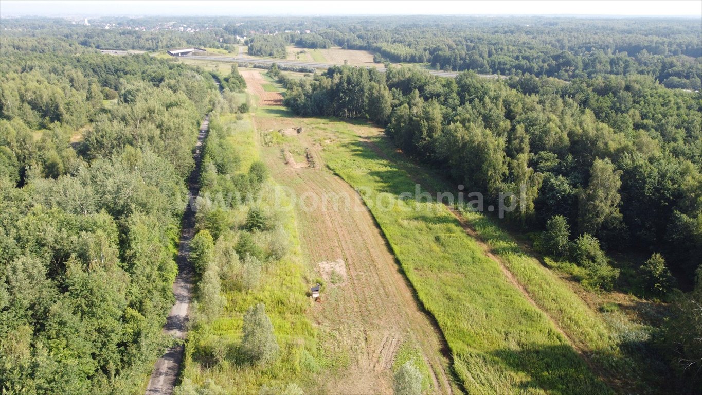 Działka budowlana na sprzedaż Jodłówka  12 700m2 Foto 7