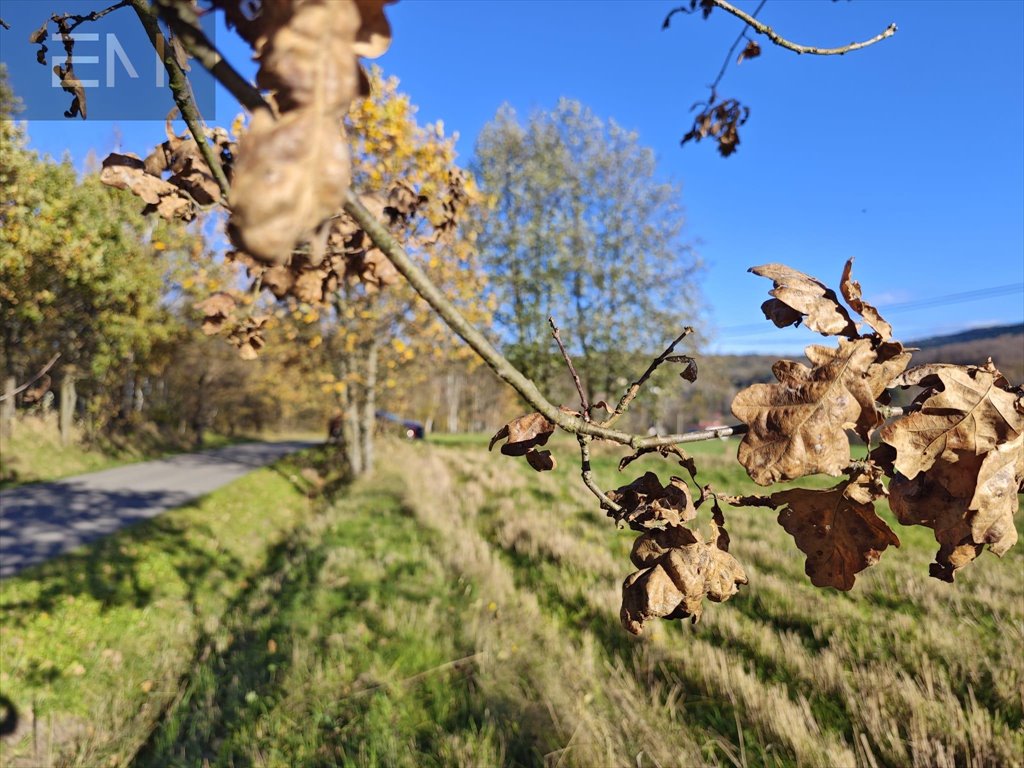 Działka budowlana na sprzedaż Konieczkowa  4 600m2 Foto 6