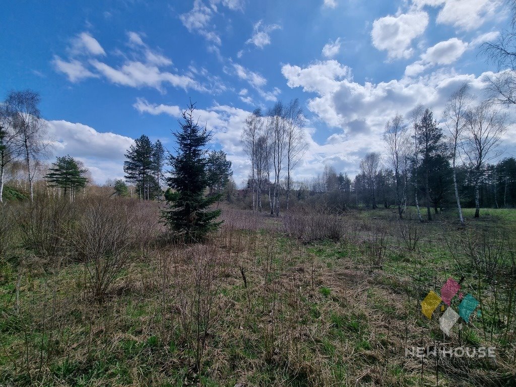 Działka siedliskowa na sprzedaż Bartołty Wielkie  18 400m2 Foto 5