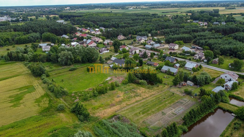 Działka inwestycyjna na sprzedaż Pigany  2 600m2 Foto 5