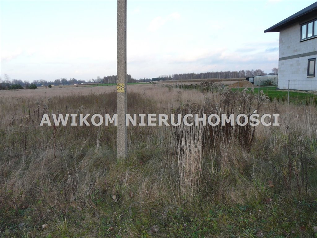 Działka rolna na sprzedaż Skierniewice, Sierakowice Lewe  11 173m2 Foto 4