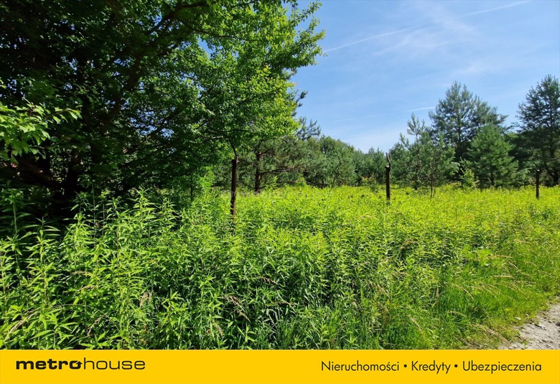 Działka inna na sprzedaż Nowa Wieś, Nad Drwęcą  1 400m2 Foto 2