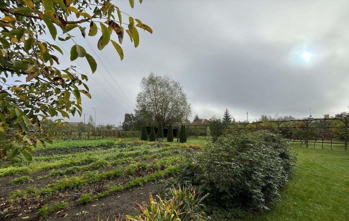 Działka budowlana na sprzedaż Nowa Sól, Sienkiewicza, ul. Henryka Sienkiewicza  1 498m2 Foto 2