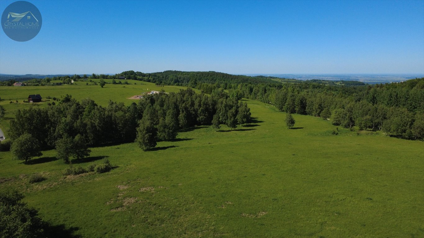 Na sprzedaż kompleks 9 działek rekreacyjnych z panoramicznym widokiem Michałkowa  3 000m2 Foto 1