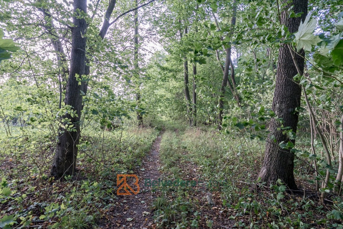 Dom na sprzedaż Kętrzyn  2 500m2 Foto 15