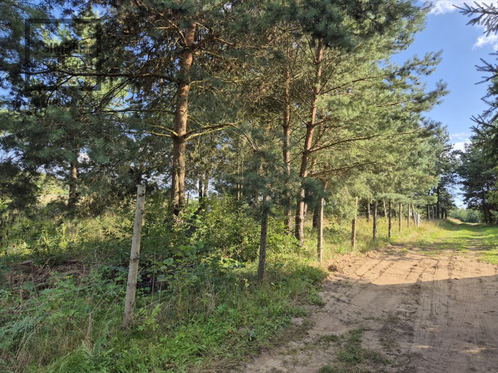 Działka budowlana na sprzedaż Chrztowo  1 400m2 Foto 4