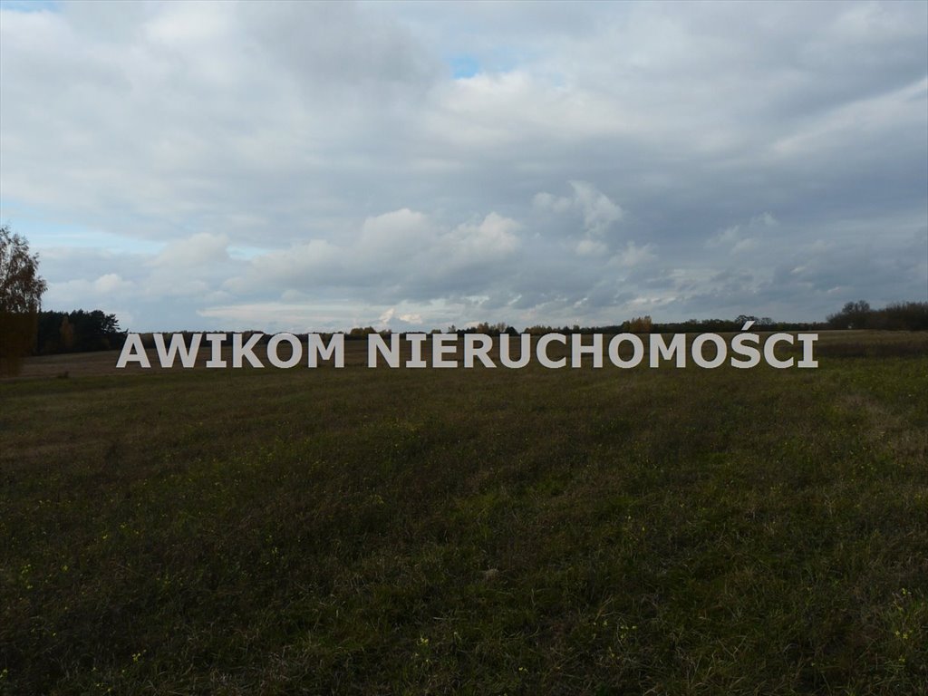 Działka inwestycyjna na sprzedaż Puszcza Mariańska, Wycześniak  162 570m2 Foto 5