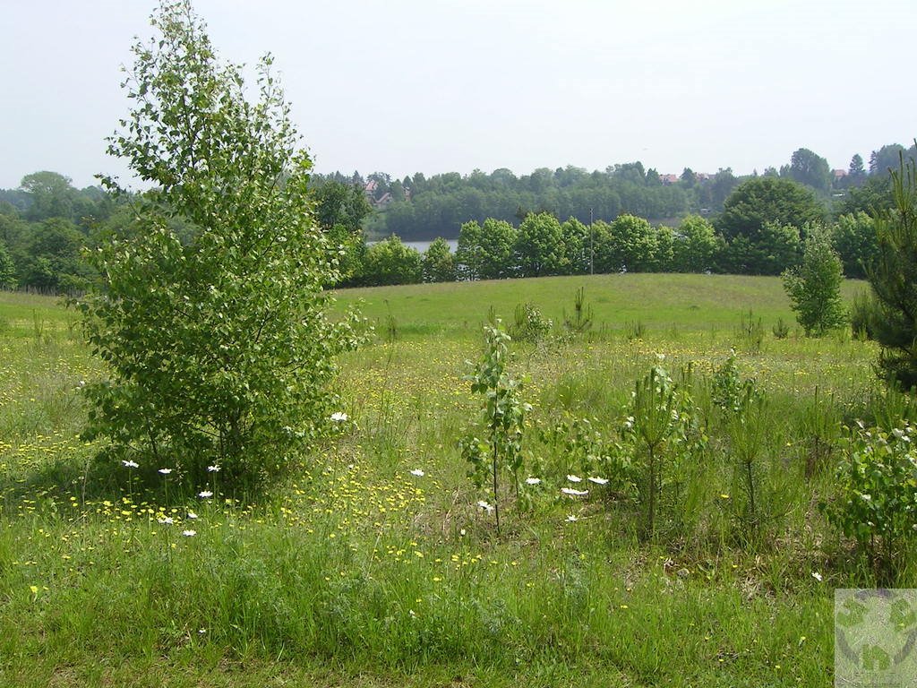 Działka budowlana na sprzedaż Kamień, Tymiankowa  1 532m2 Foto 12