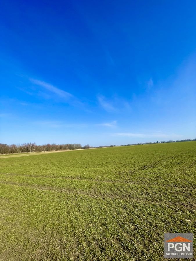 Polecam działkę rolną 24 400 m² w Trzebiatowie okolica Trzebiatów okolica  24 400m2 Foto 1