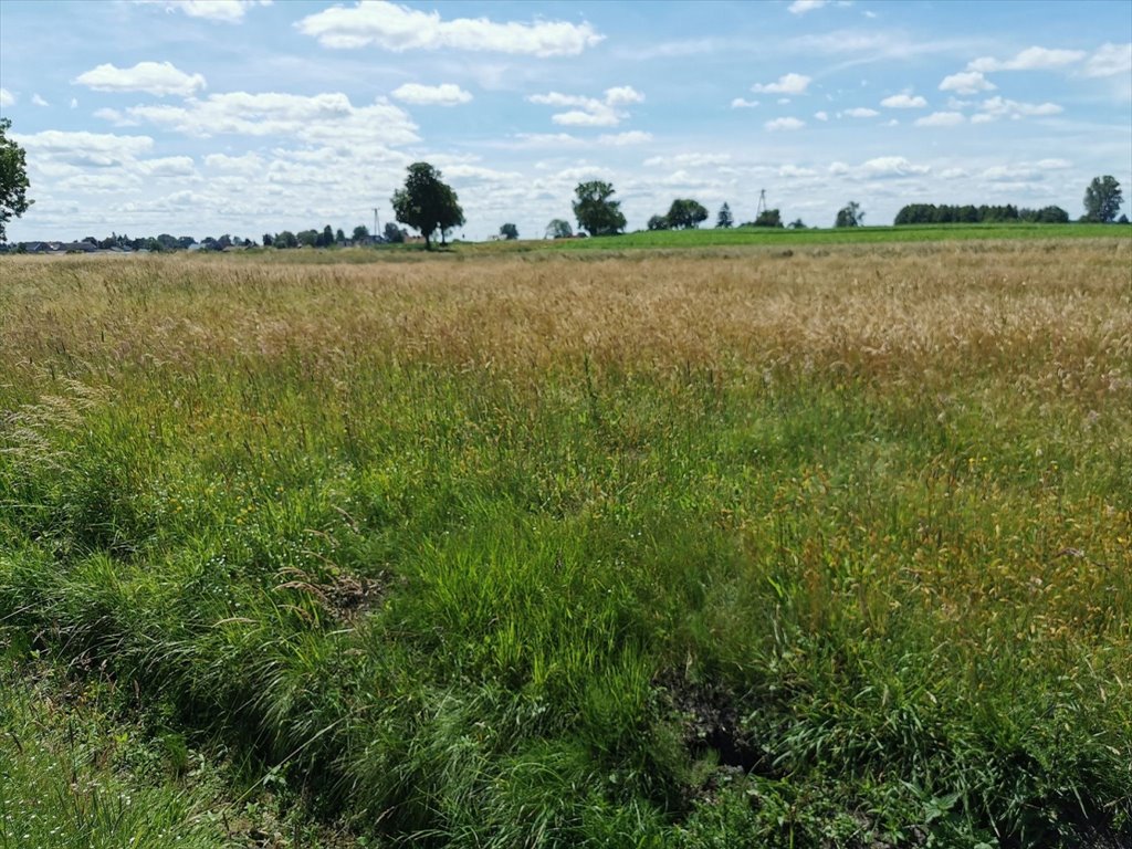 Działka rolna na sprzedaż Kleszczyna  27 800m2 Foto 6