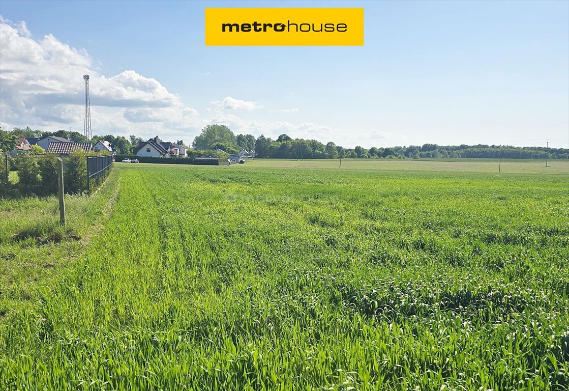 Działka budowlana na sprzedaż Karlikowo, Polna  1 018m2 Foto 1