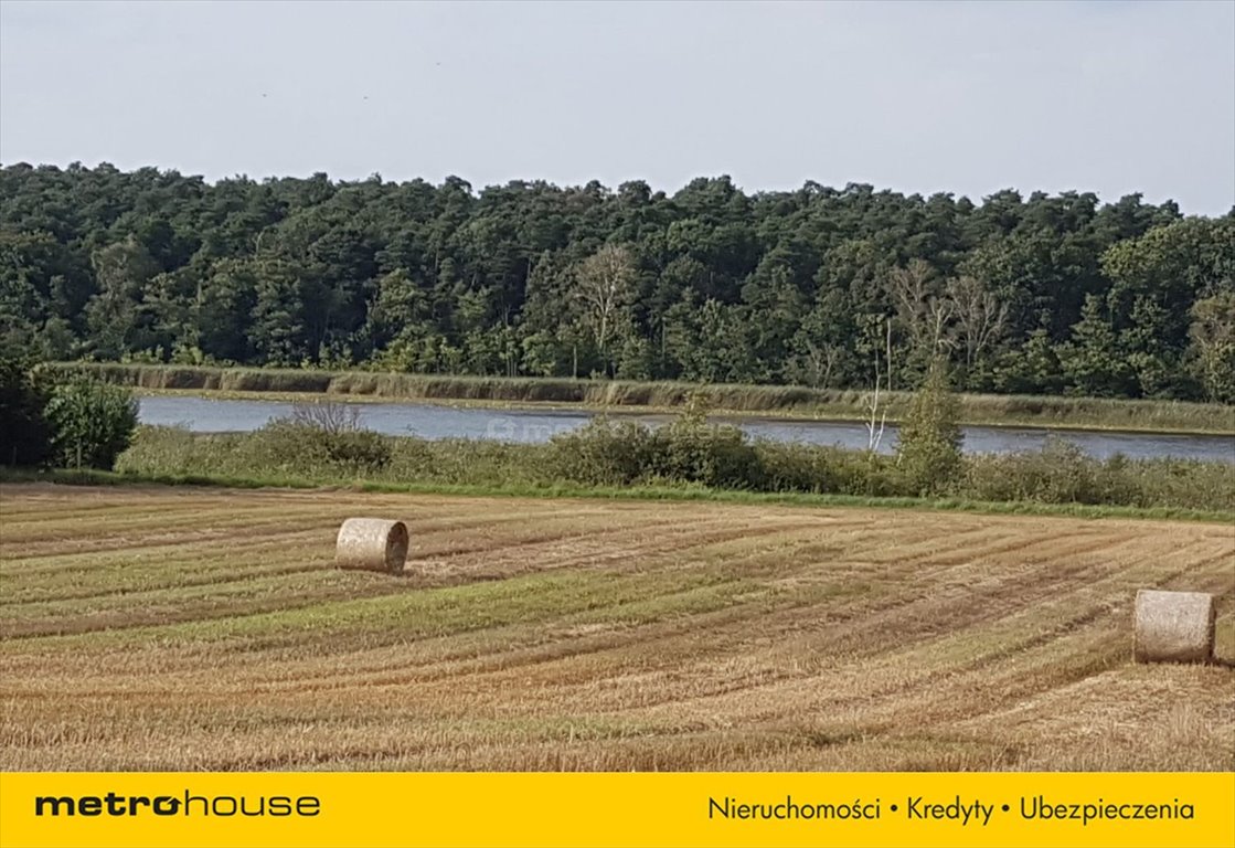 Działka inna na sprzedaż Wielka Wieś, Bukowska  19 079m2 Foto 4