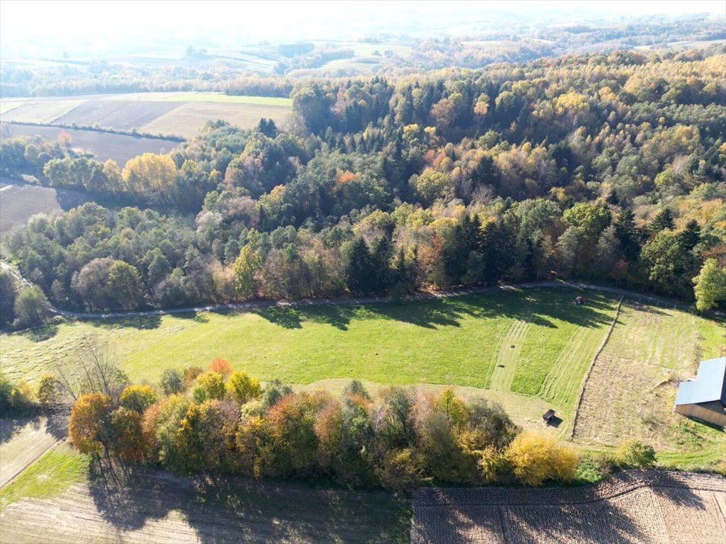 Działka budowlana na sprzedaż Błażkowa  2 559m2 Foto 15