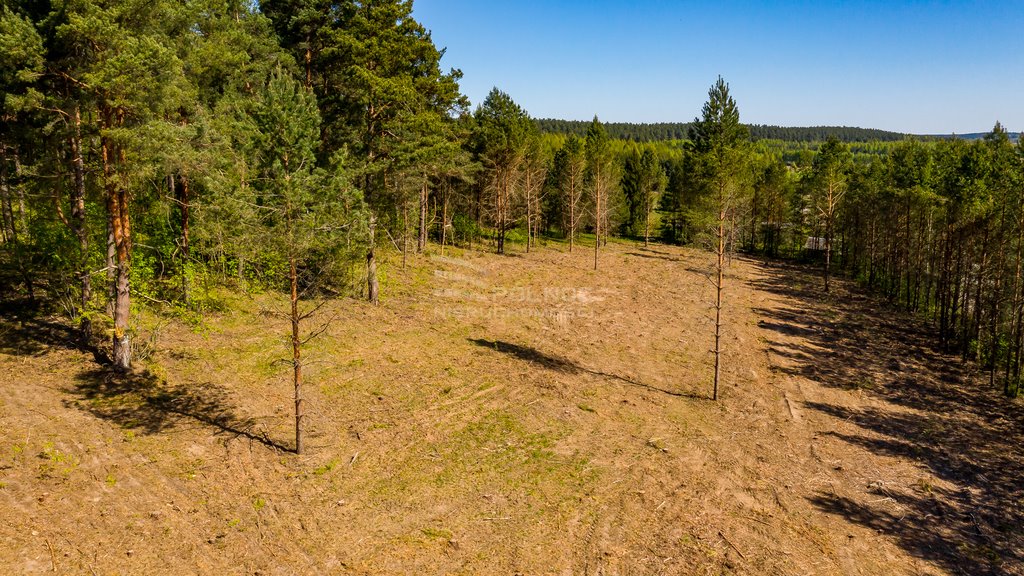 Działka budowlana na sprzedaż Łaźnisko  1 478m2 Foto 5