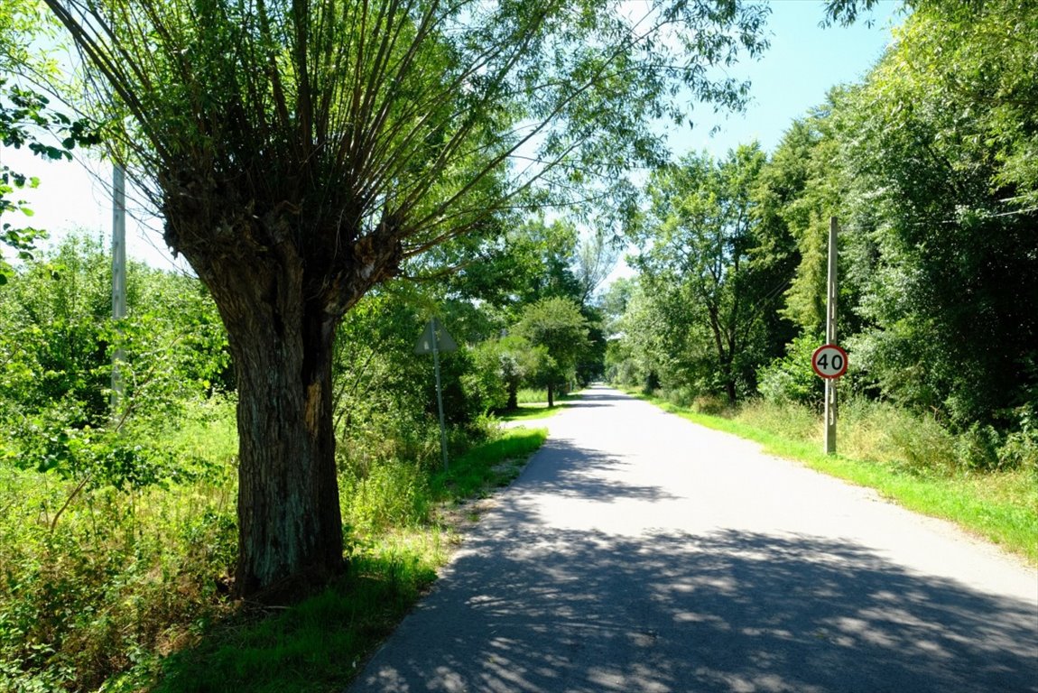 Działka 11 700 m² z WZ i PnB przy Kampinoskim Parku Narodowym Kampinos  11 700m2 Foto 1