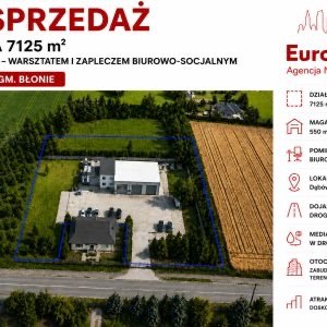Magazyn 550 m² z biurem i dużym placem w Dębówce Dębówka  550m2 Foto 1