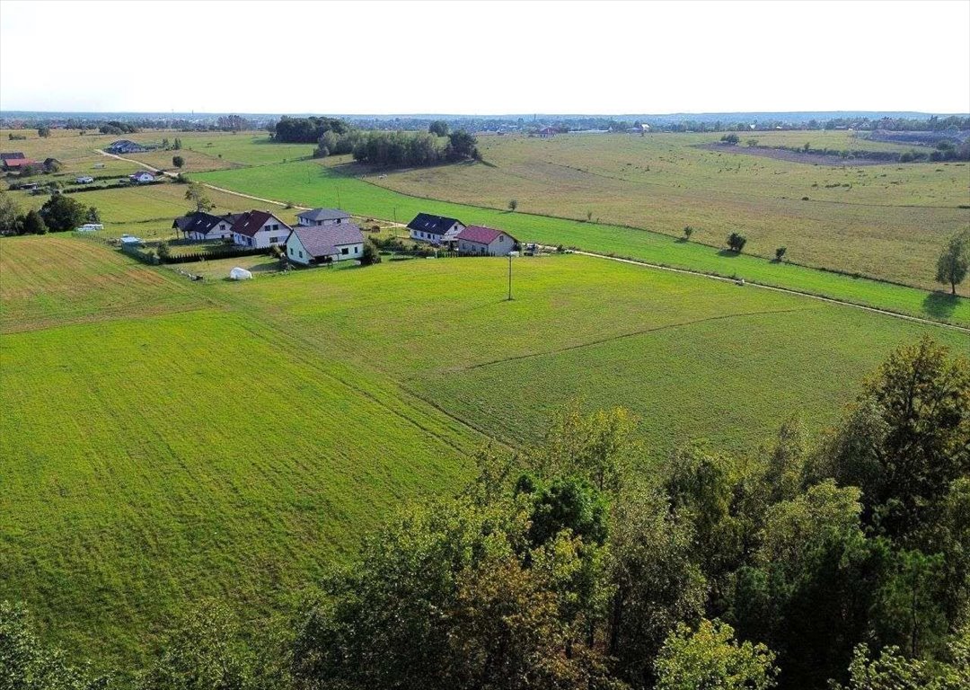 Działka rolna na sprzedaż Lipowa Góra Wschodnia  1 650m2 Foto 5