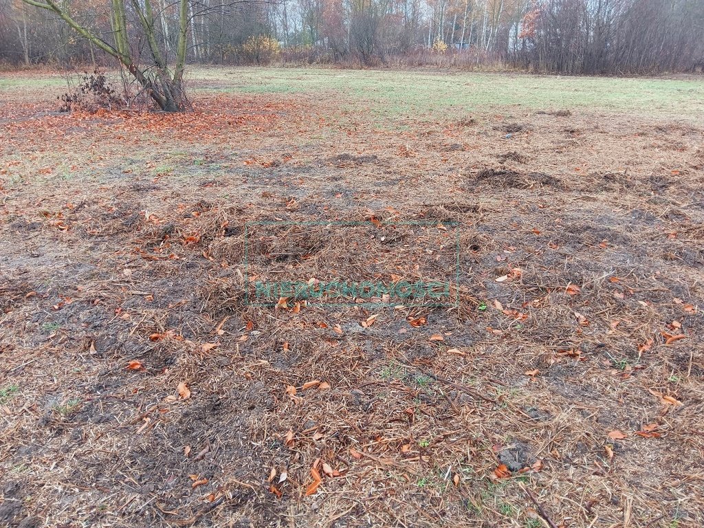 Działka budowlana na sprzedaż Rusiec  1 000m2 Foto 3