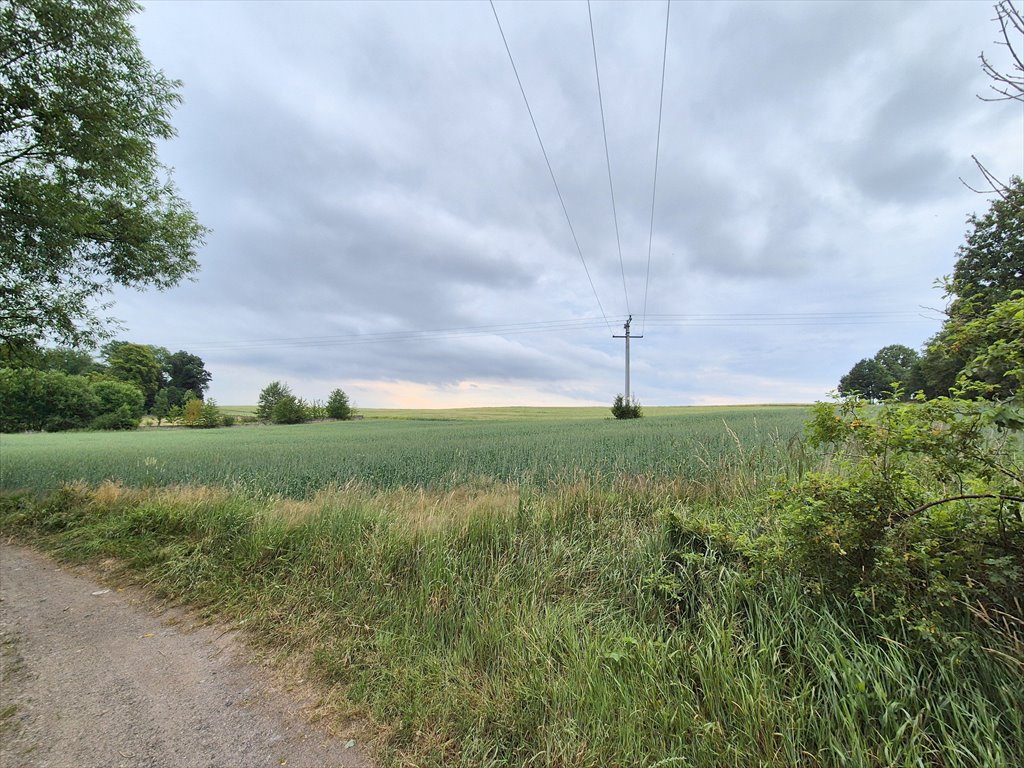 Działka rolna na sprzedaż Kotliska  19 600m2 Foto 2