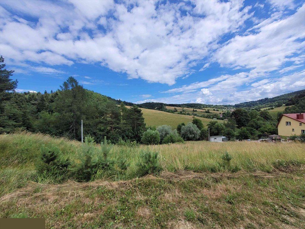 Działka budowlana na sprzedaż Krzyżówka  1 424m2 Foto 1