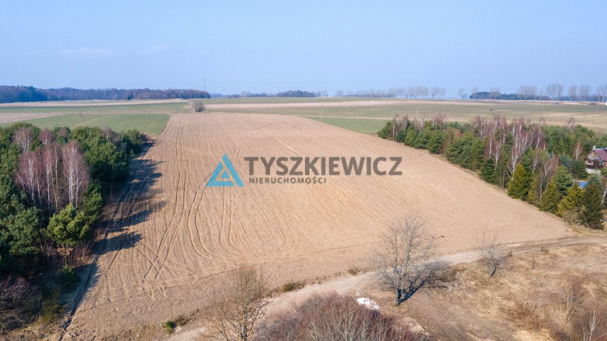 Działka rolna na sprzedaż Krokowa, Polna  10 724m2 Foto 5