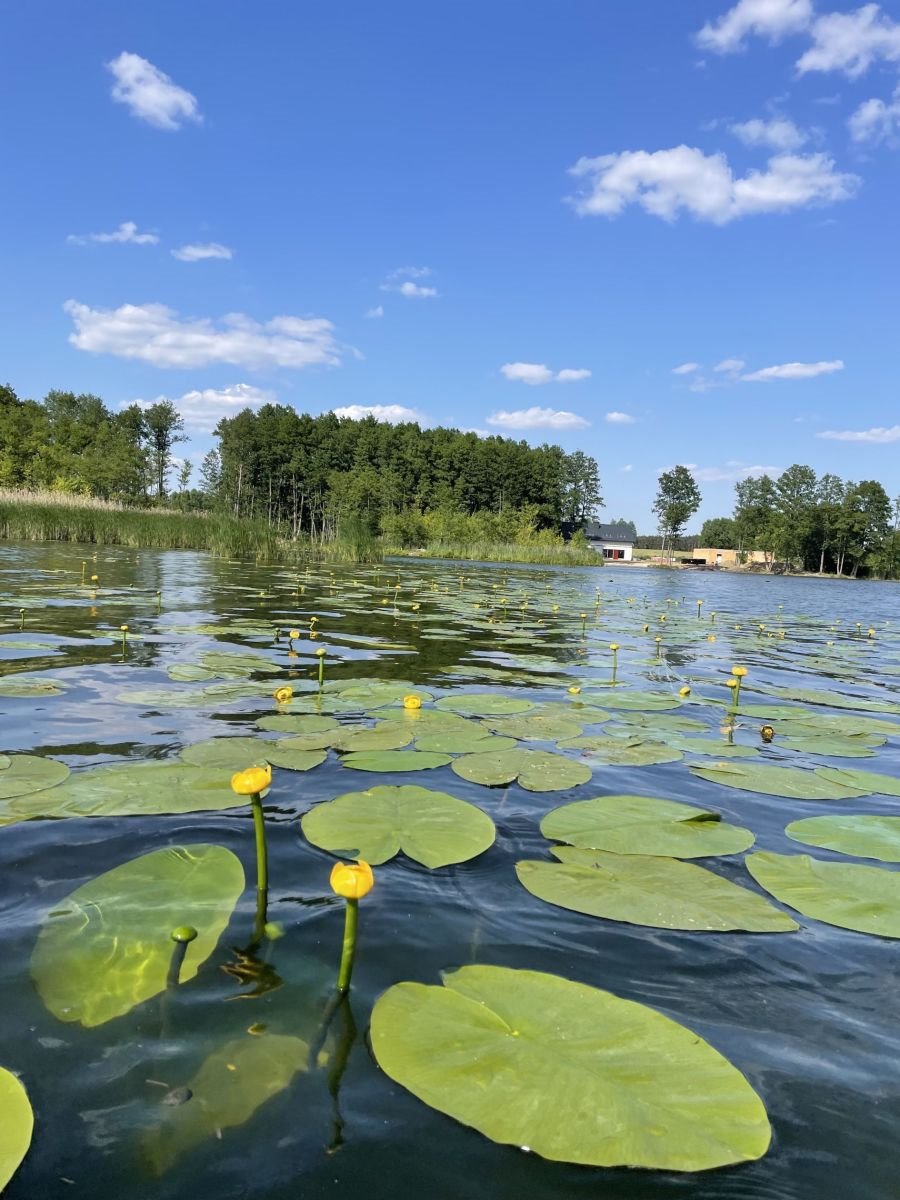 Mieszkanie czteropokojowe  na sprzedaż Sława  115m2 Foto 12