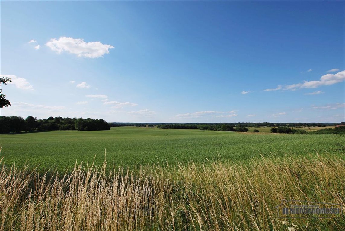 Działka inna na sprzedaż Mieszałki  139 900m2 Foto 12