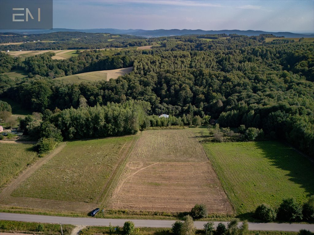 Dom na sprzedaż Niewodna  100m2 Foto 5