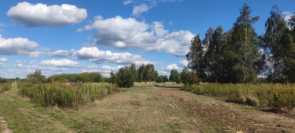 Działka budowlana na sprzedaż Borzęcin Mały, Anyżowa  1 526m2 Foto 2