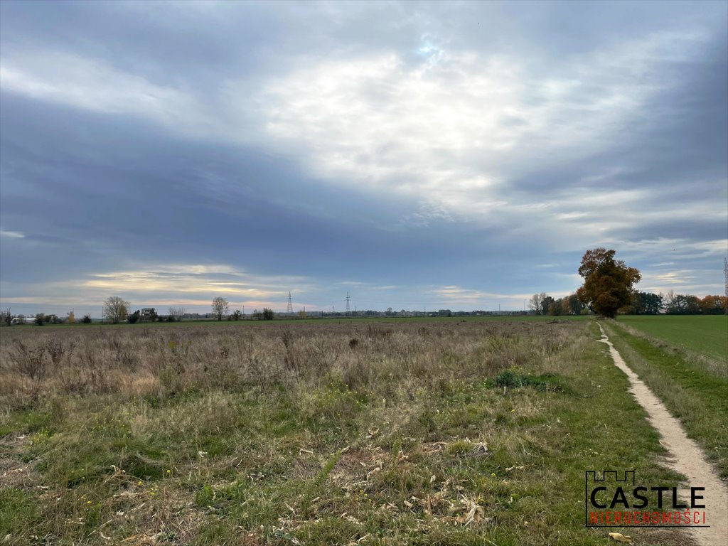 Działka inwestycyjna na sprzedaż Poznań, Żegrze, ul. Sarbinowska  12 500m2 Foto 4