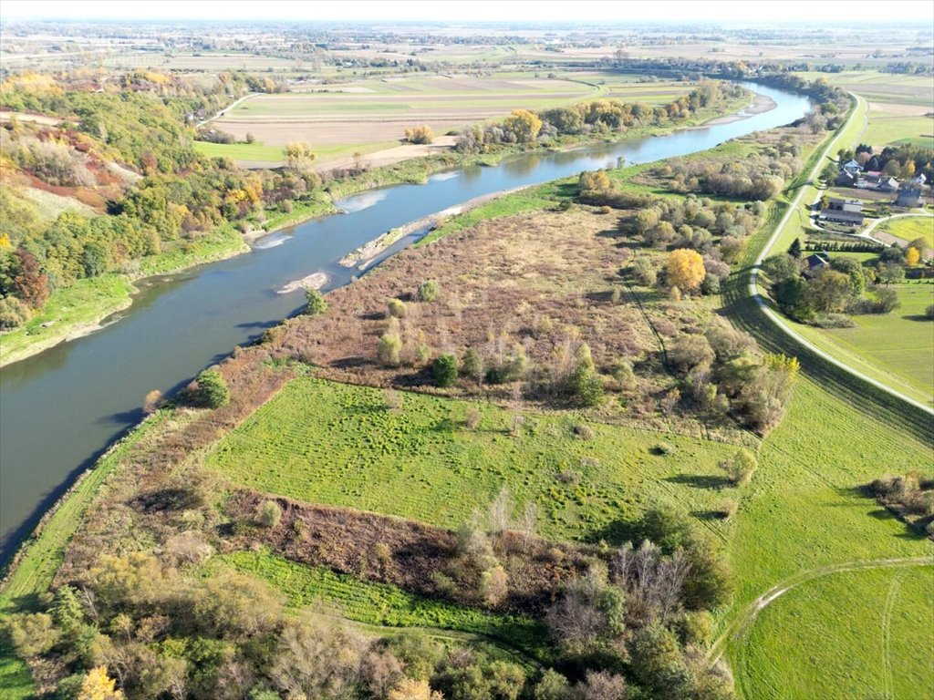 Działka rolna na sprzedaż Dąbrówka Morska  9 500m2 Foto 5