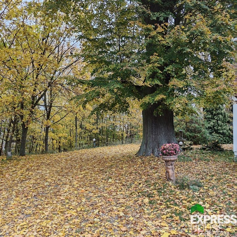 Dom na sprzedaż Górki Małe  460m2 Foto 7