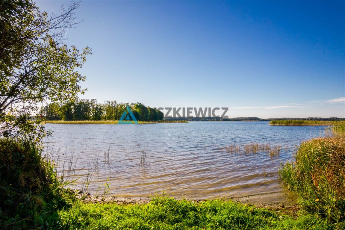 Działka budowlana na sprzedaż Peplin  4 000m2 Foto 2