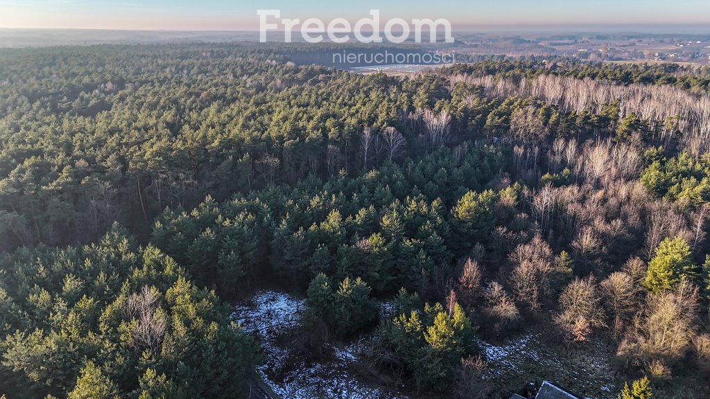 Działka budowlana na sprzedaż Świętochów, Leśna  11 932m2 Foto 11