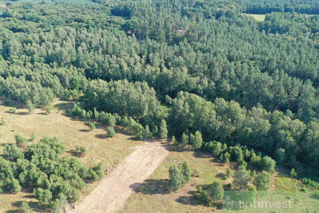 Polecam działkę 3249 m² w Krzywicach z warunkami zabudowy Krzywice  3 249m2 Foto 1