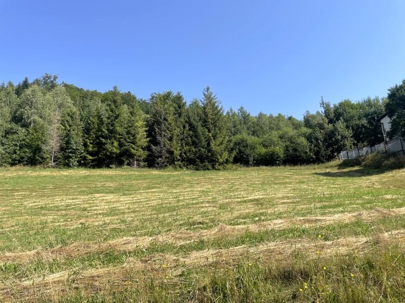 Działka inna na sprzedaż Wisła, Wisła, Cieńków  2 400m2 Foto 4