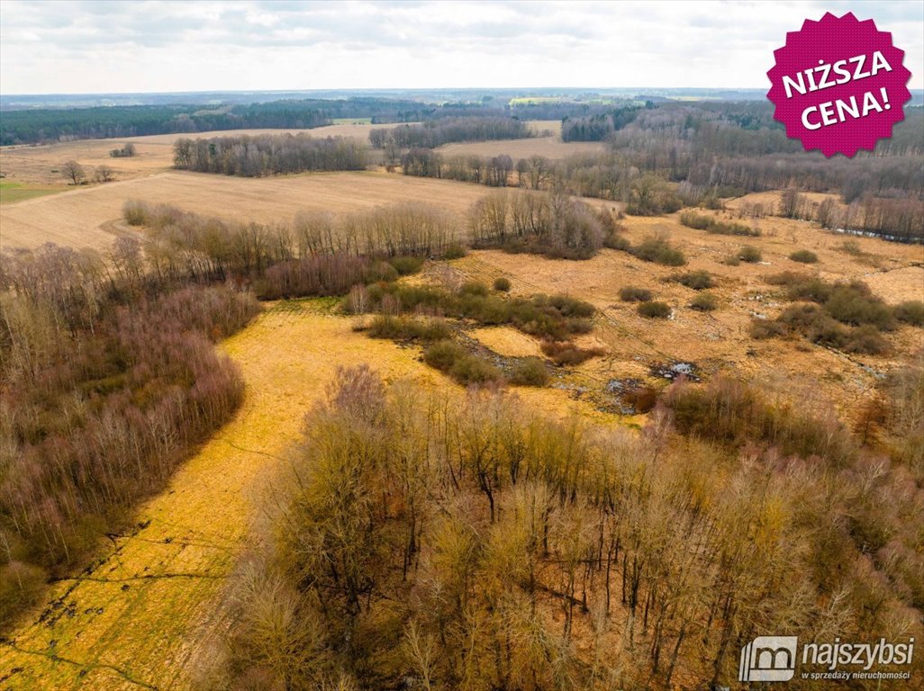 Działka rolna 18 600 m² z drzewami, bez planu, blisko zabudowa Długołęka, obrzeża  18 600m2 Foto 1