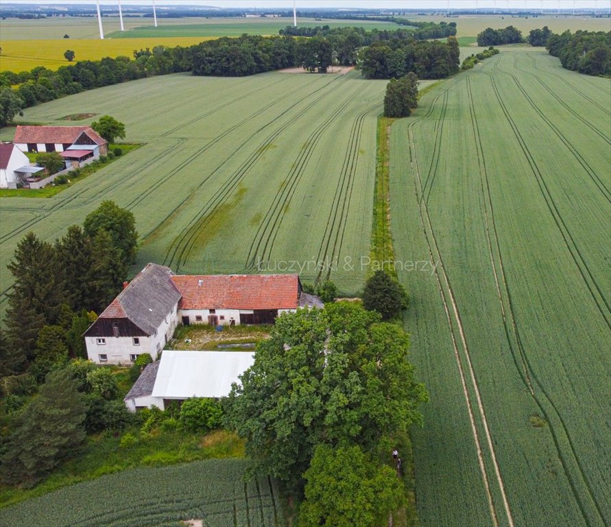 Działka siedliskowa na sprzedaż Nowa Wieś Złotoryjska  134 231m2 Foto 1