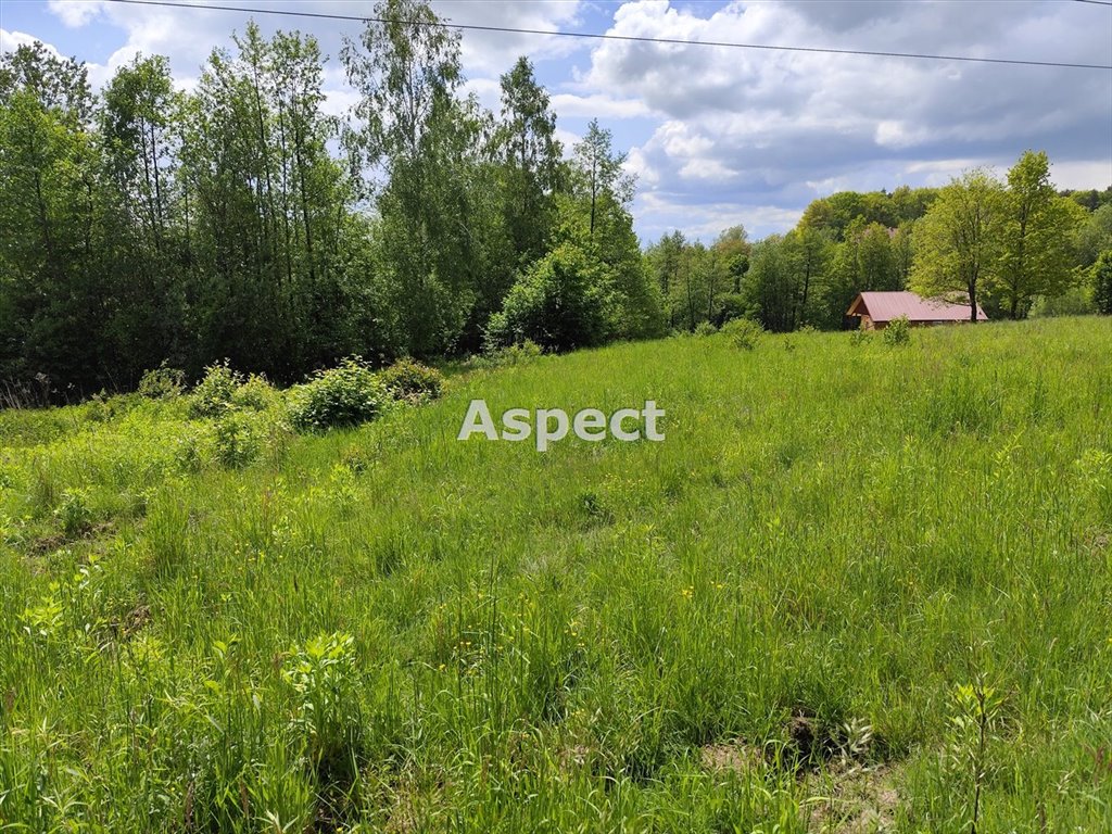 Działki siedliskowe 4200 m2 z wodą i gazem w Chmielniku Chmielnik  4 200m2 Foto 1