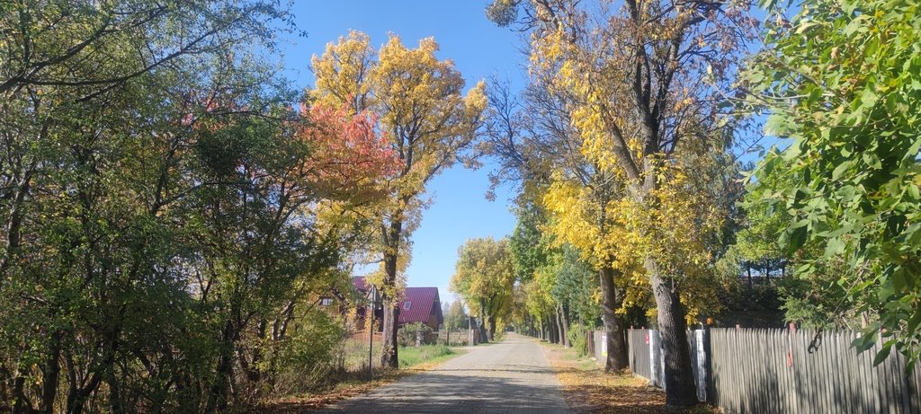 Działka budowlana na sprzedaż Marianów, aleja Kalinowa  3 000m2 Foto 2