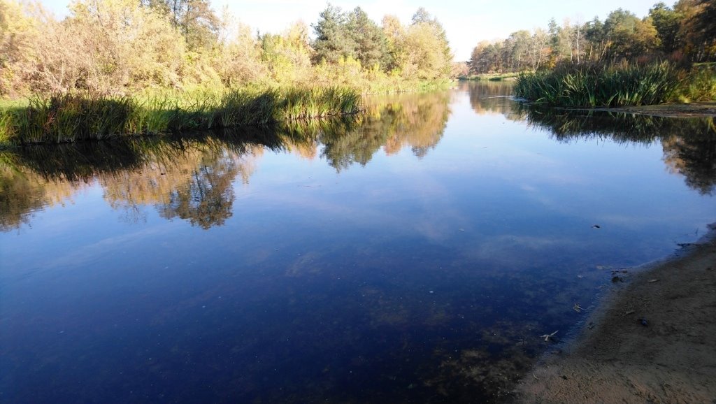 Działka budowlana na sprzedaż Popielżyn-Zawady  4 828m2 Foto 9