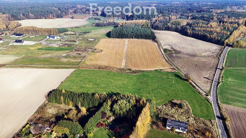 Działka budowlana na sprzedaż Frednowy  12 607m2 Foto 6