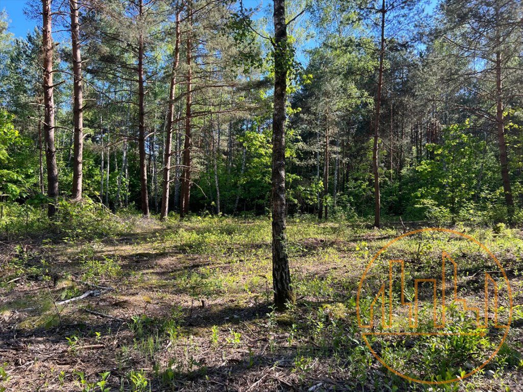 Działka budowlana na sprzedaż Emów  2 227m2 Foto 1